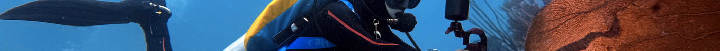 How Many Lumens Do You Really Need For A Dive Torch?